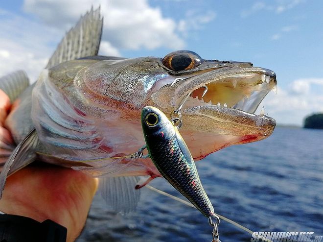 Изображение 1 : Kosadaka Fish Darts - правильный спиннер.
